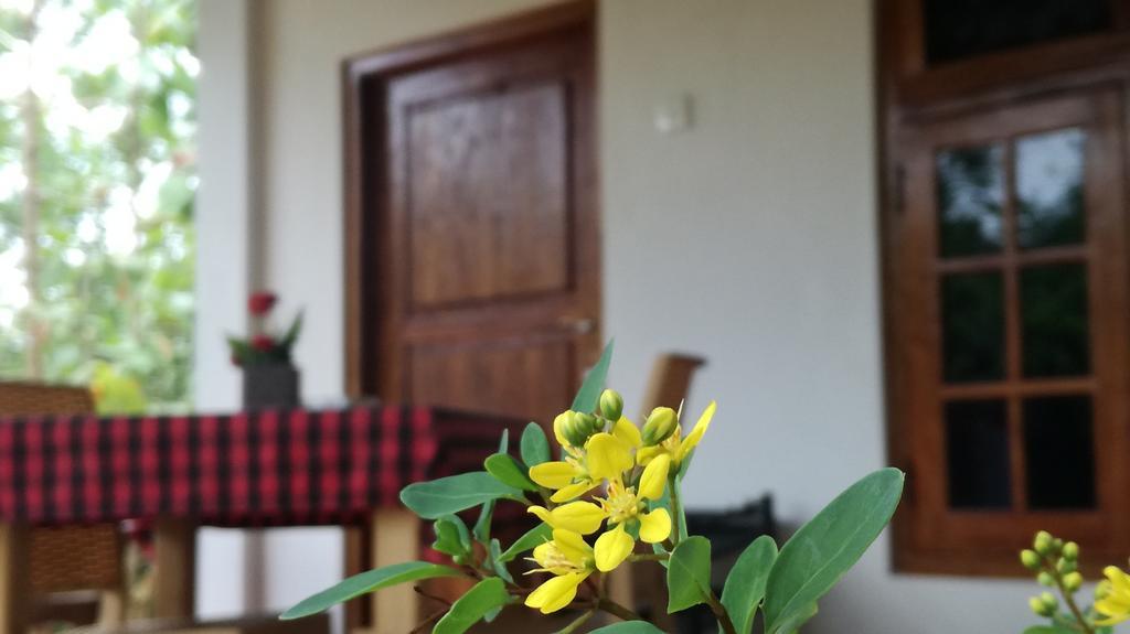 Family Nest Apartman Dambulla Kültér fotó