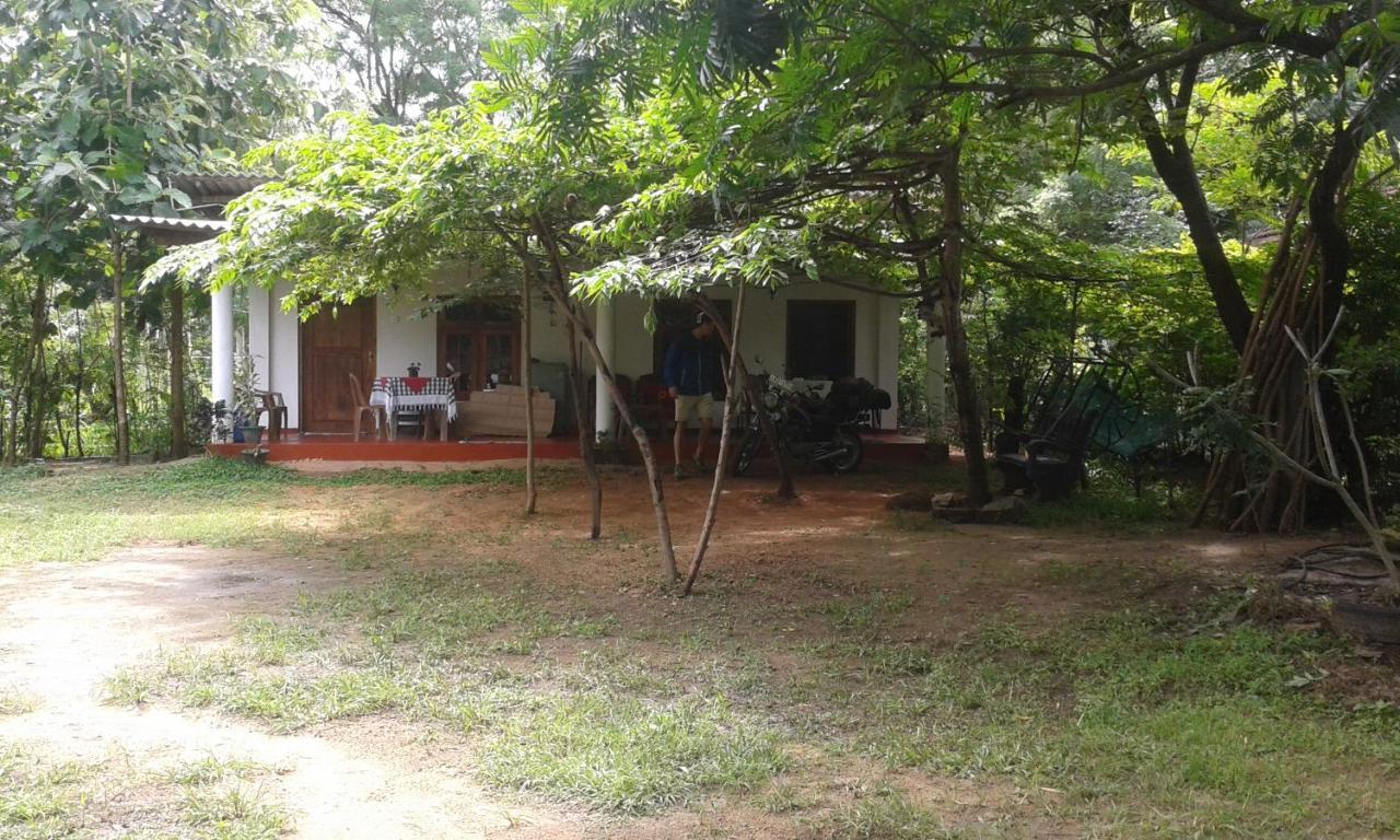Family Nest Apartman Dambulla Kültér fotó